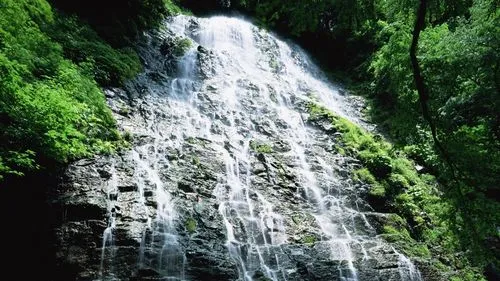 高性能全自动